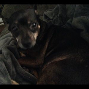 Meet your Posher, Xiomara